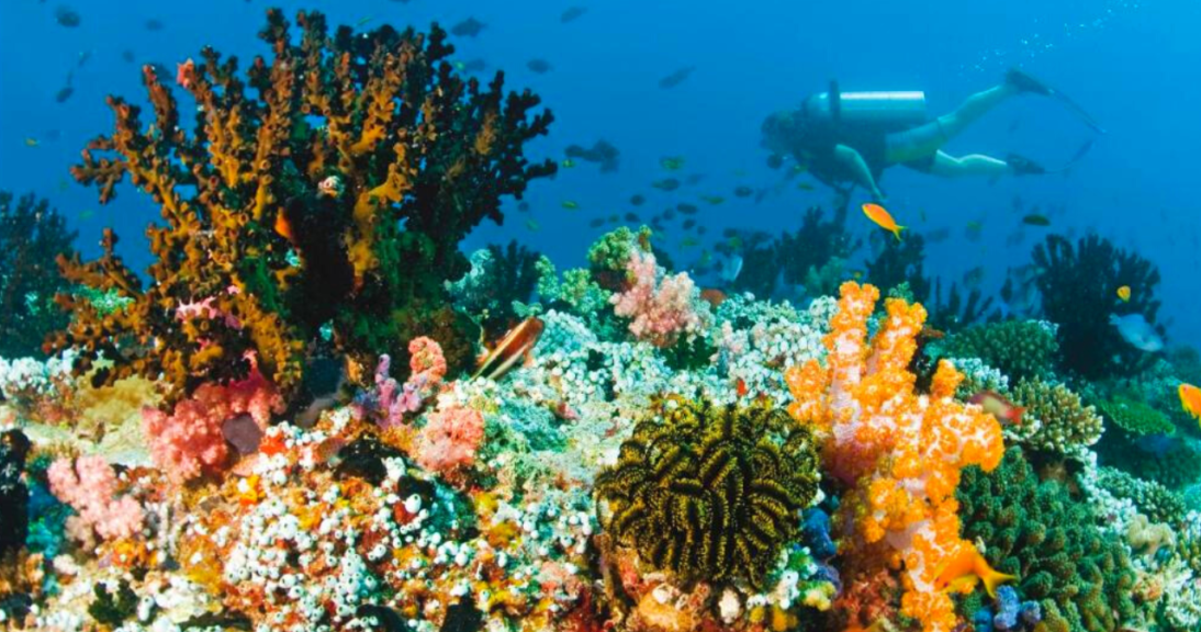 Hotel nas Ilhas Maldivas - Baros Maldives